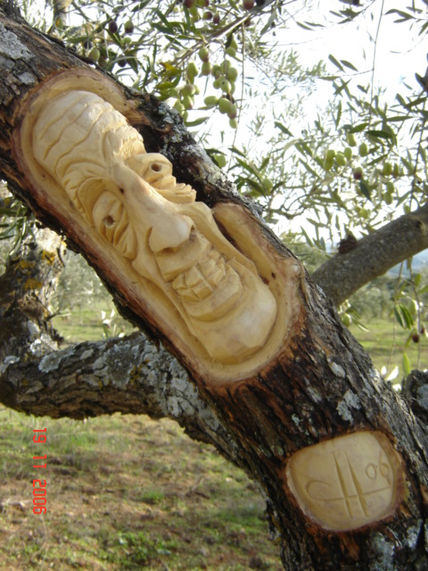 Arbol11