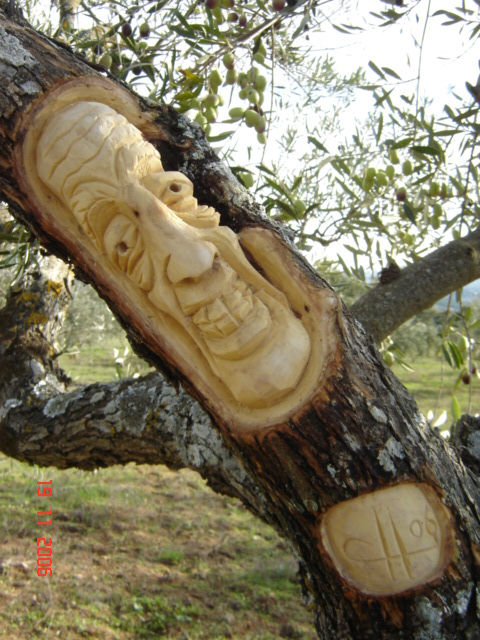 arbol11
