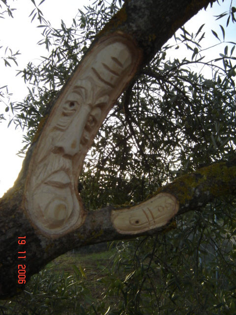 arbol13