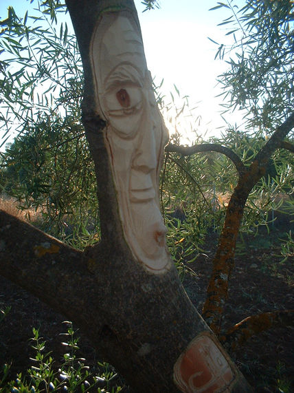 Arbol16