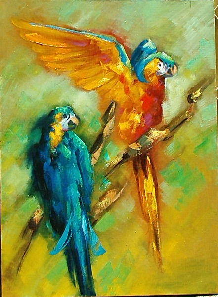 Guacamayas intensas