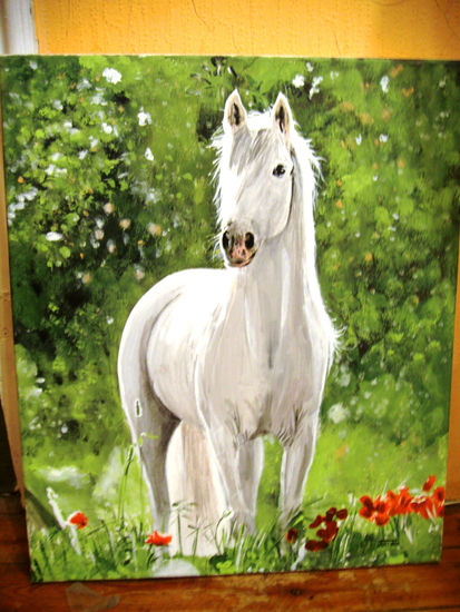 Caballo blanco Acrylic Canvas Animals