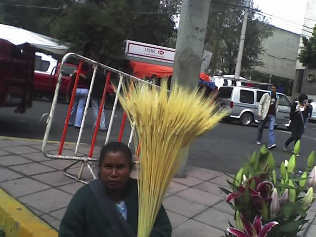 vendedora