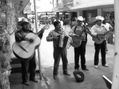 suena