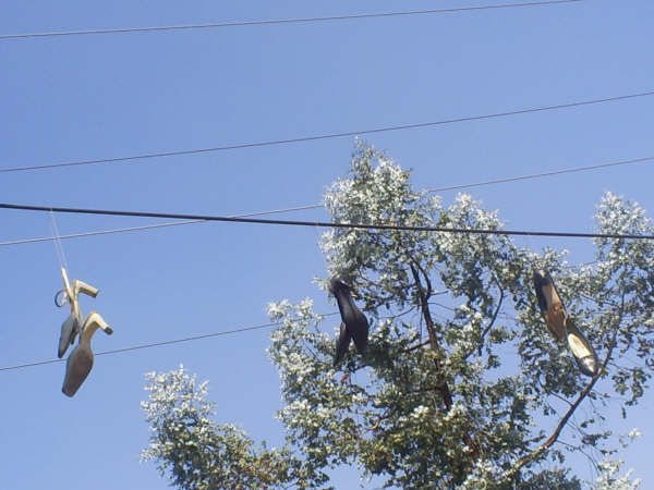 zapatillas 