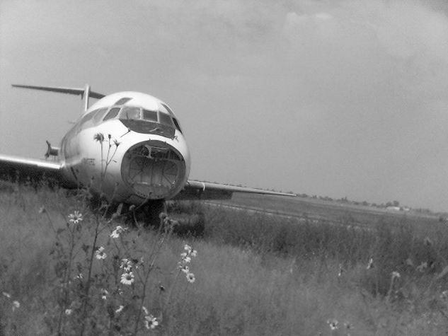 avion y flores 