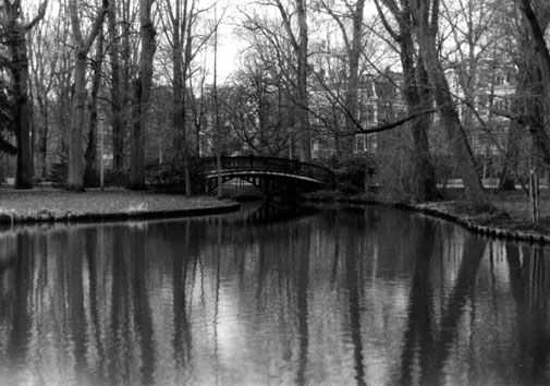 Reflejo Otras temáticas Blanco y Negro (Química)