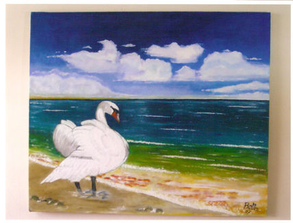 Cisne observando