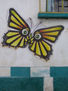 mariposa emigrante