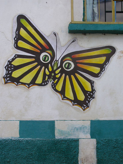 Mariposa emigrante