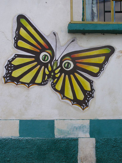 mariposa emigrante 