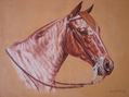 caballo