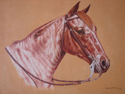 Caballo
