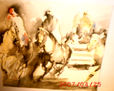 caballos