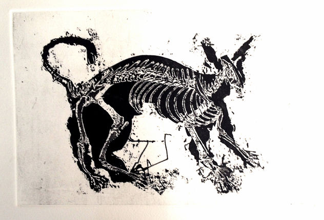 Perro