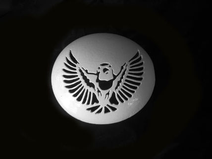 Bird3