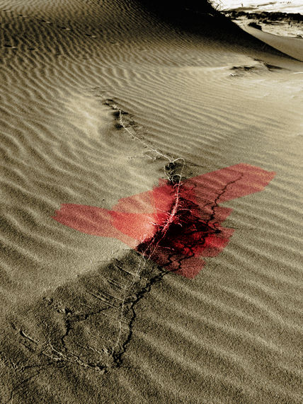 Sombras 1
