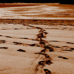 Arena thumbnail 1