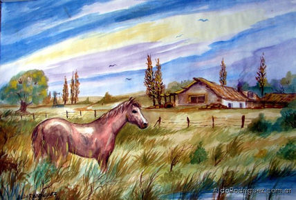 Caballo en el campo