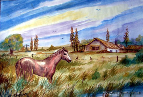 Caballo en el campo