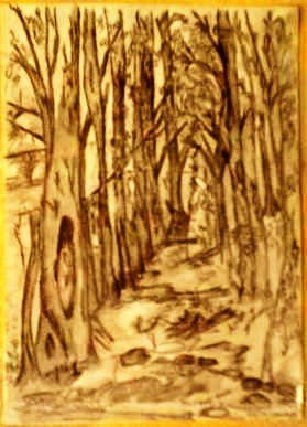 Bosque en...