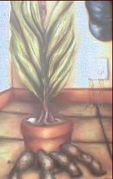 ARBOL DE ESQUINA Acrylic Panel Still Life Paintings