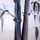 Tao thumbnail 1