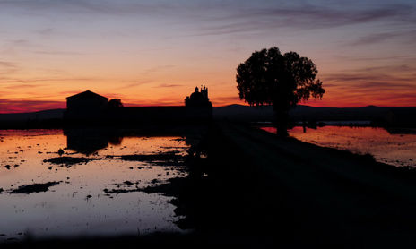 Puestas de sol