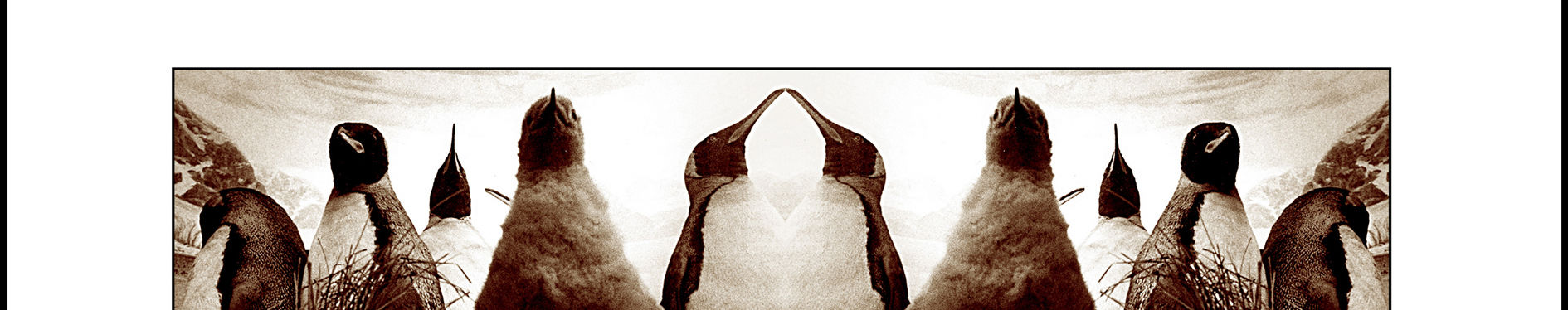 Imagen de portada