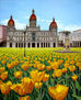 Espejismo con flores (Ayuntamiento de A Coruña)