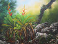 Dos Bromelias