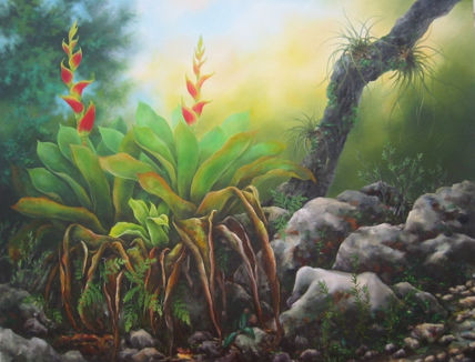 Dos Bromelias