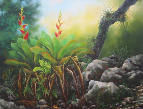 Dos Bromelias