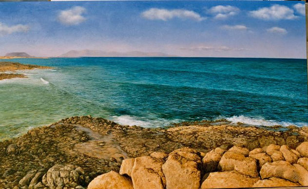 Lobos desde rocas y charco