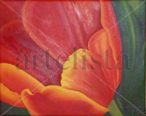 Flor