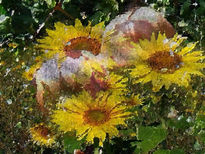 GIRASOLES y GRANADOS