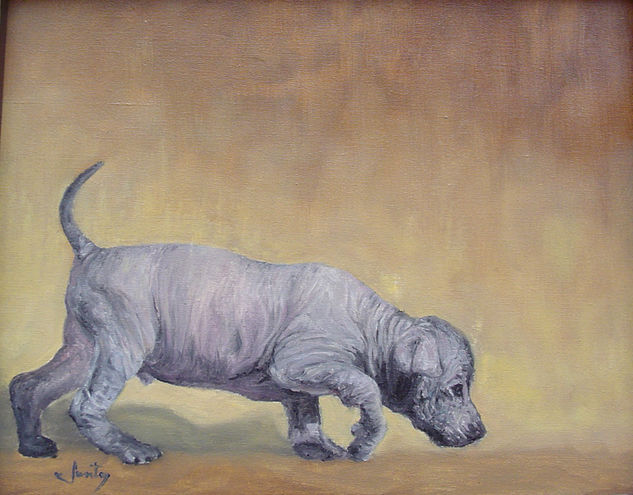 Cachorro Oil Canvas Animals