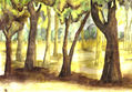 El parque