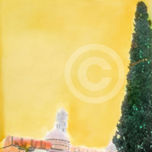 SIENA thumbnail 1