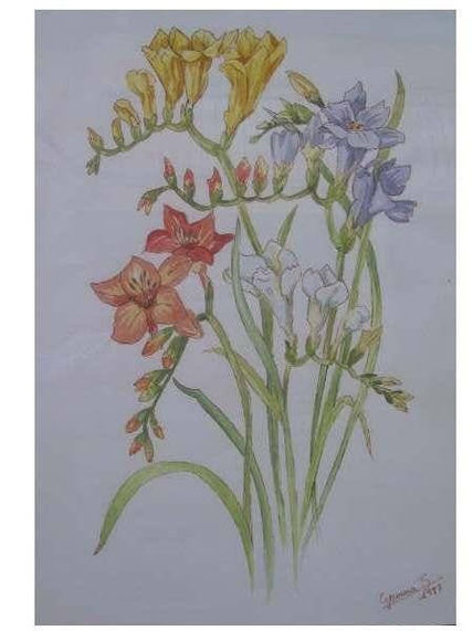 Flores