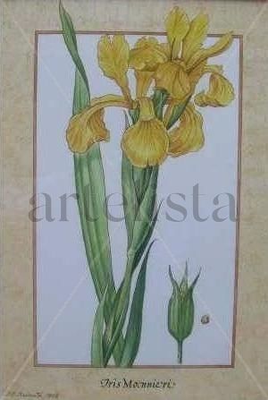 flores Watercolour Card Floral Painting