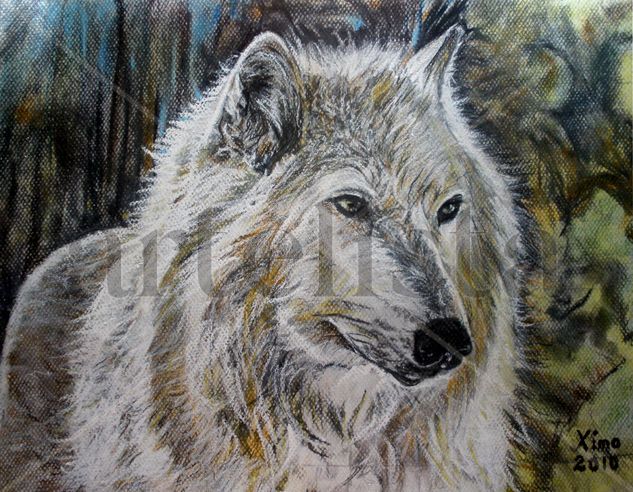 MI LOBO Pastel Papel Animales