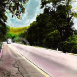 BRASIL thumbnail 1