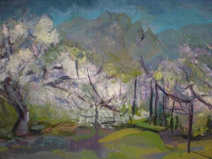 Cerezos en primavera