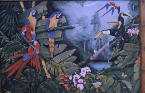 Selva
