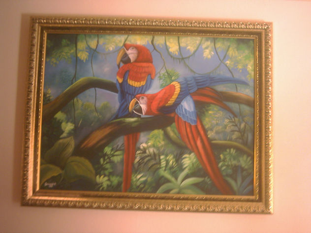 pajaros