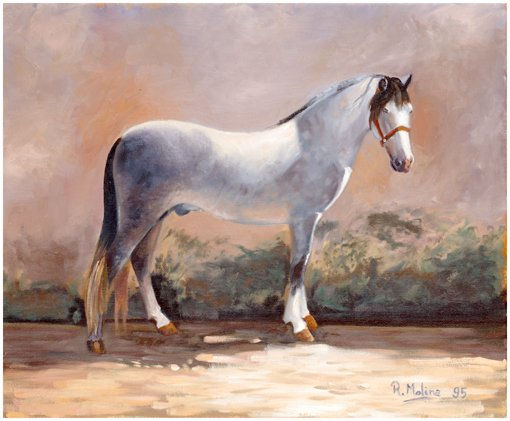 caballo I Oil Canvas Animals