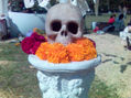 flores y craneo