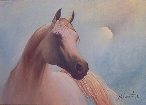 Cavalo Árabe Oil Canvas Animals