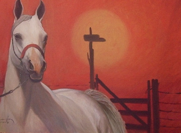 Cavalo Árabe II Oil Canvas Animals